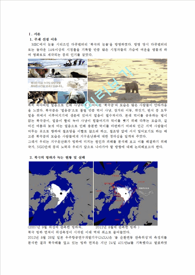 [3000원] 지구온난화에 대한 빙하의 위기와 해결방안,북극의 빙하,온난화문제, 지구온난화 조사레포트.hwp